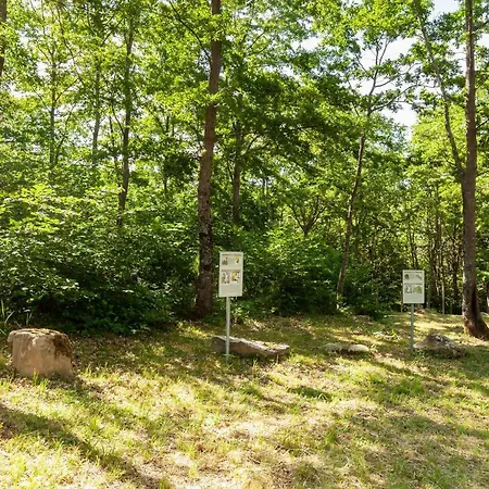 Villaggio Anemone Fragolina * Capanne di Sillano