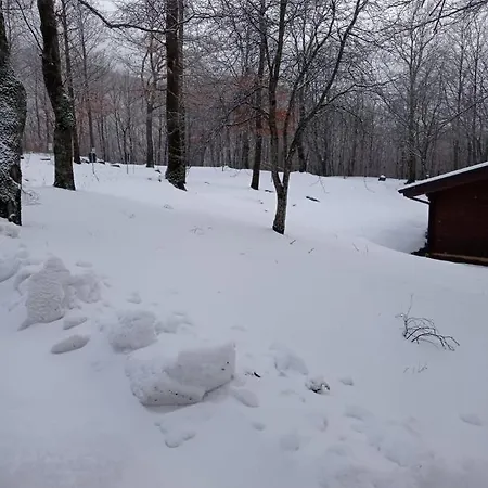 Дом отдыха Villaggio Anemone Fragolina